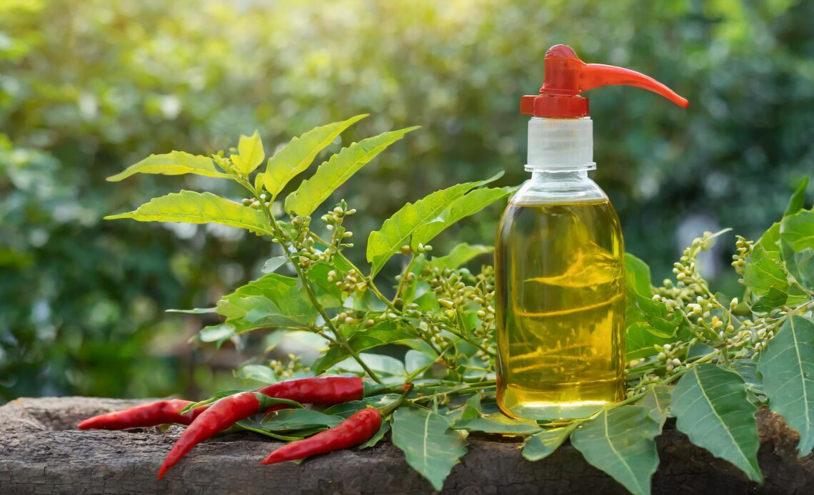 Cayenne pepper inn spray bottle surrounded by neem seeds to keep pests away